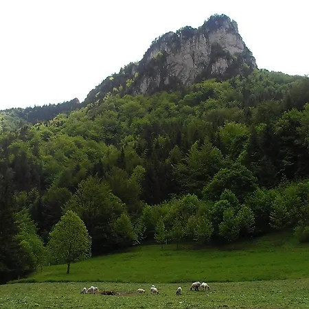 Drevenica U Michala Domek alpejski